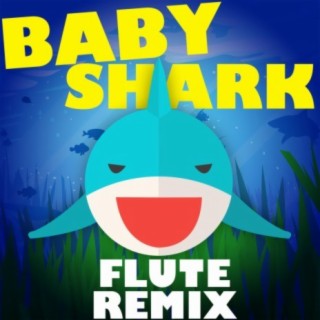 Baby Shark (Flute Remix)