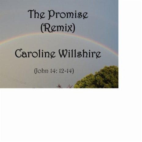 The Promise (Remix)