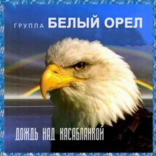 Download Белый Орёл Album Songs: Дождь Над Касабланкой | Boomplay.