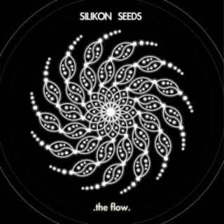 Silikon Seeds