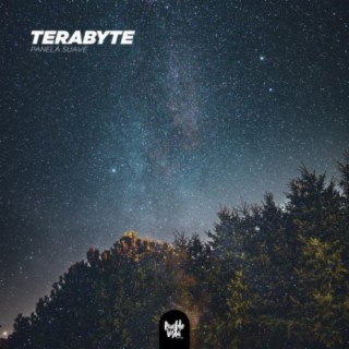 terabyte