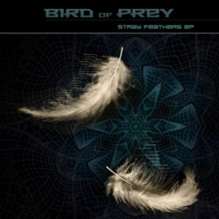 Bird Of Prey