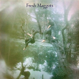 Fresh Maggots