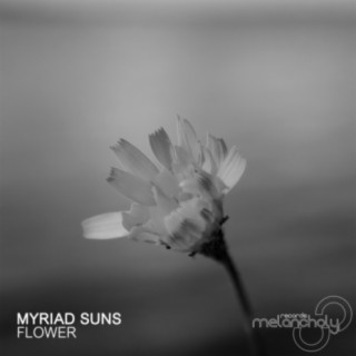 Myriad Suns