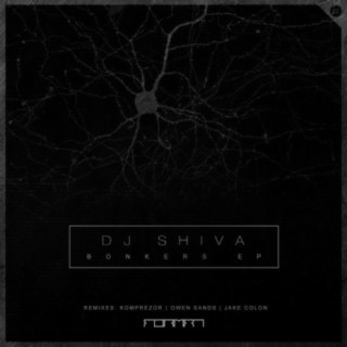 dj shiva songs download mp3 2023 hindi