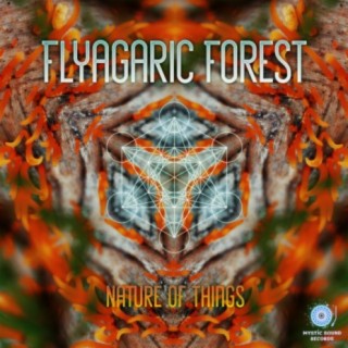 Flyagaric Forest