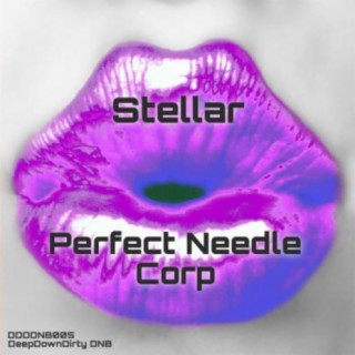 Perfect Needle Corp