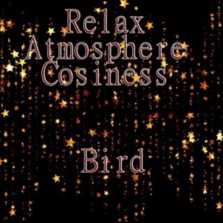 Relax Atmosphere Cosiness