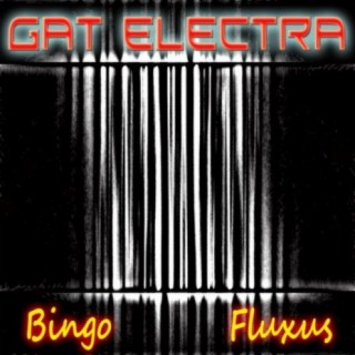 Gat Electra