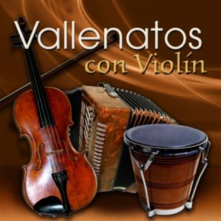 Violines de Valledupar