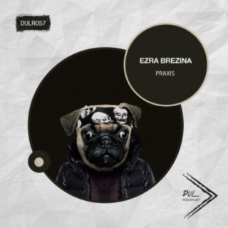 Ezra Brezina