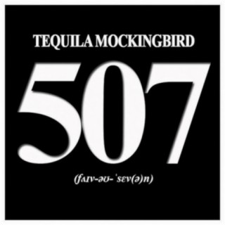 Tequila Mockingbird