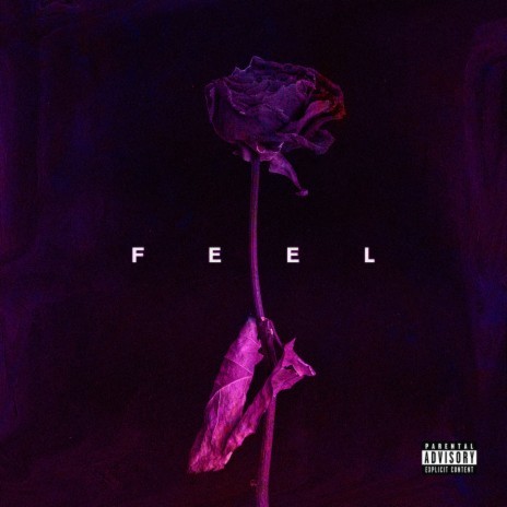 Feel | Boomplay Music