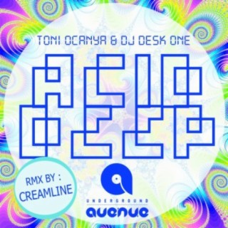 Acid Deep (The Mixes)