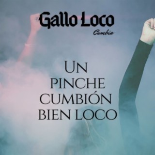 Gallo Loco Cumbia