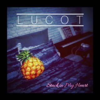 Lucot