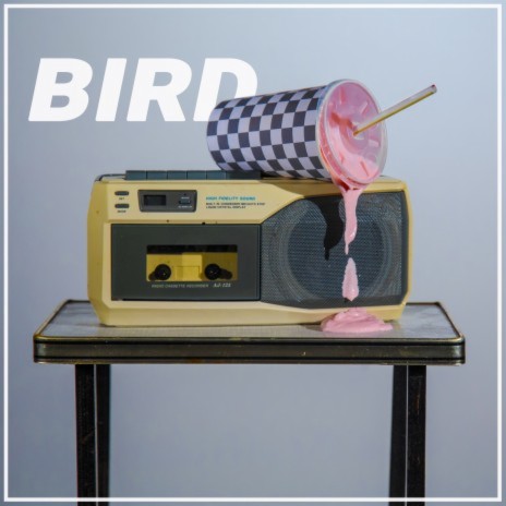 Bird | Boomplay Music