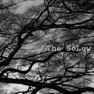 The SoLow