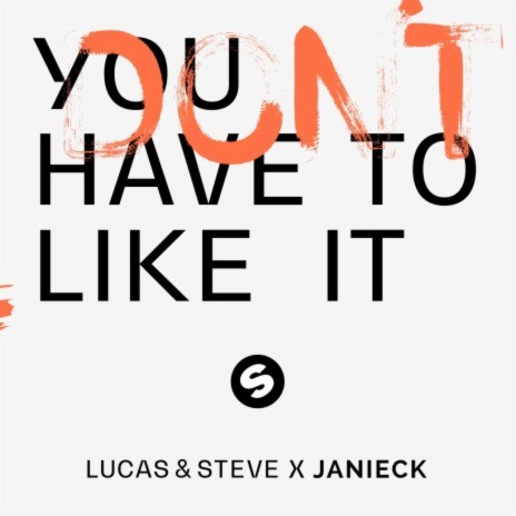 You Don't Have To Like It ft. Janieck | Boomplay Music