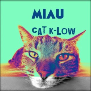 Cat K-Low