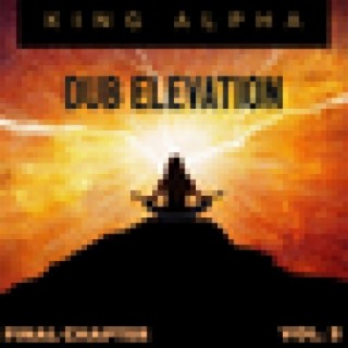 Dub Elevation Vol. 3 (Final Chapter)