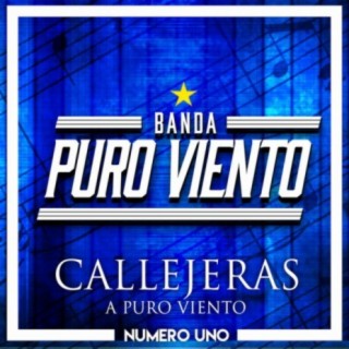 Banda Puro Viento