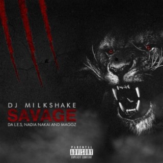 DJ Milkshake