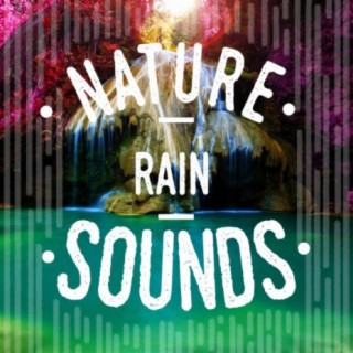 Nature Rain Sounds