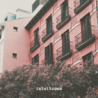 intuitions