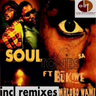 Soul-Tones SA