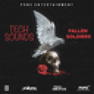 Fallen Soldiers - Single