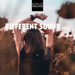 Different Sound, Vol. 12