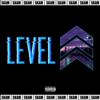 Level