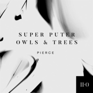Super Puter and Owls & Trees