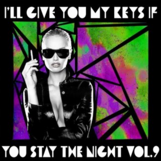 I'll Give You My Keys If You Stay The Night, Vol. 9