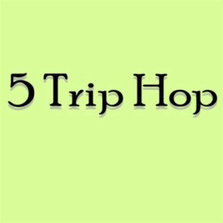 5 Trip Hop
