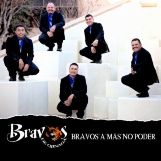 Bravos De Ojinaga