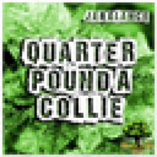 Quarter Pound a Collie - Single