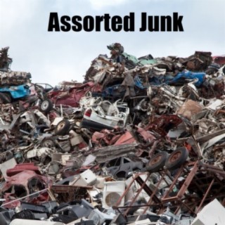 Assorted Junk