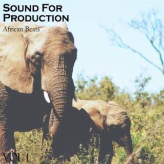 Sound For Production African Beats, Vol. 1