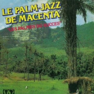 Le Palm Jazz de Macenta