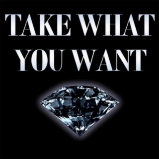 Take What You Want (Instrumental)