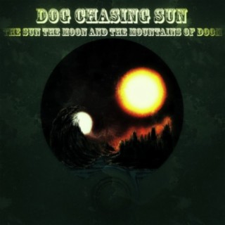 Dog Chasing Sun