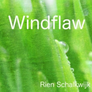 Rien Schalkwijk