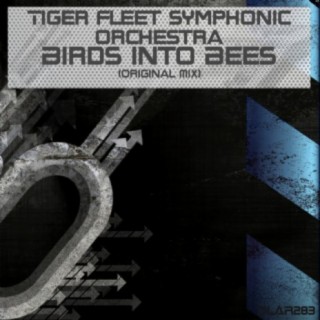 Tiger Fleet Symphonic Orchestra