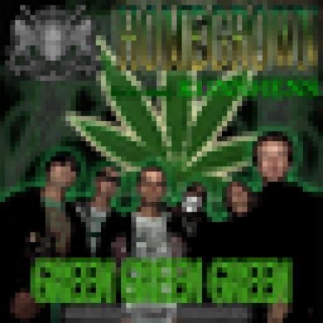 Green Green Weed ft. Konshens | Boomplay Music