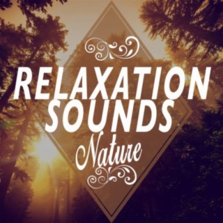 Relaxing With Sounds of Nature and Spa Music Natural White Noise Sound Therapy
