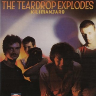 The Teardrop Explodes