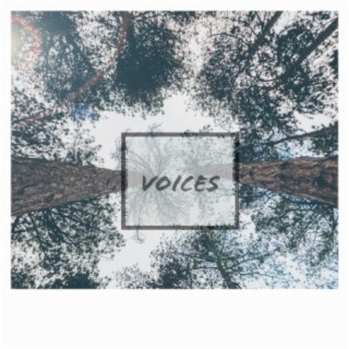 Voices