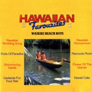 The Waikiki Beach Boys